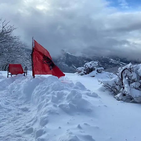 Camping Shengjergj * 地拉那