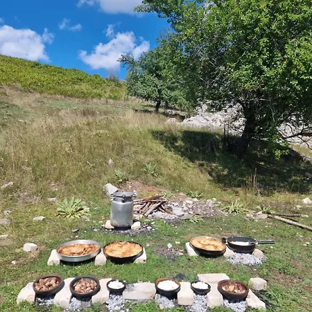 Camping Shengjergj *